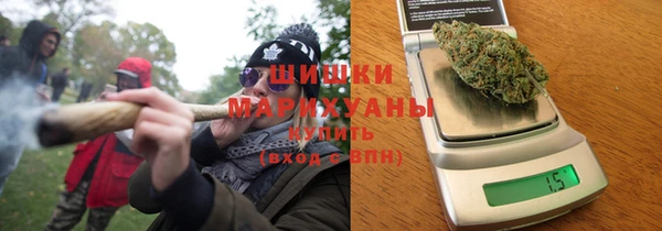 стаф Бородино