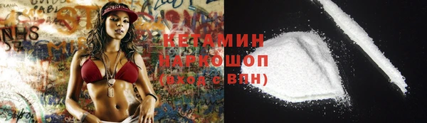 стаф Бородино