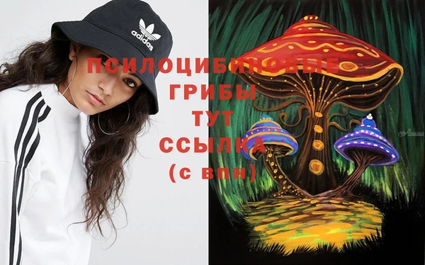 кокаин премиум Богородицк