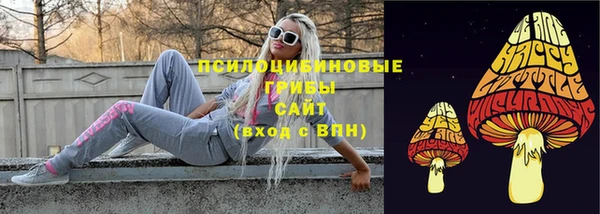 стаф Богородск