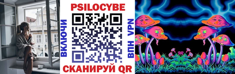 Псилоцибиновые грибы Psilocybine cubensis  Демидов 